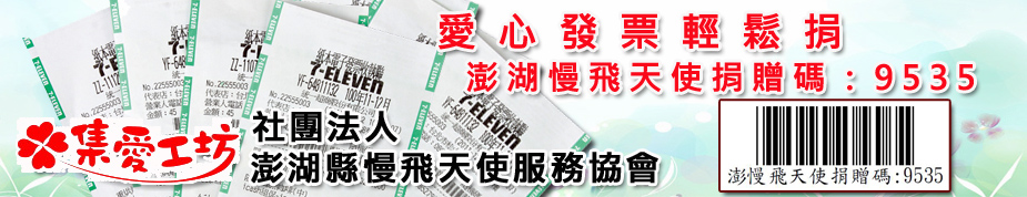 社團法人澎湖縣慢飛天使服務協會捐贈碼：9535